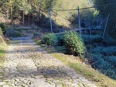 -仙霞关景区
