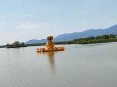 -野鸭湖国家湿地公园