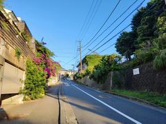 -灌篮高手动画打卡地