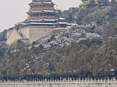 -龙湖星悦荟(颐和店)