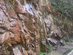 -上海佘山国家森林公园西佘山园