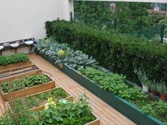 PrimarySchool0013-上海民办包玉刚实验学校(小学部)