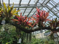 -国家植物园南园