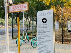 -三里屯东五街银杏大道