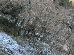 -秦岭风景区