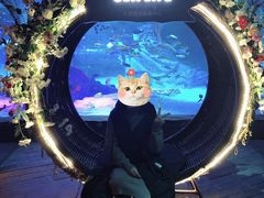 -沈阳海洋探索中心