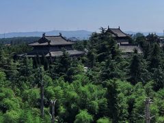 -洛阳白马寺