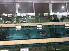 水产区-秋姐美食店(旅游大道店)