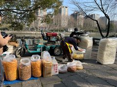 -运河游船(武林门码头)