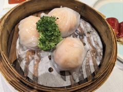 -新雅粤菜馆(南京东路店)