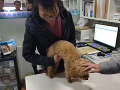 -西安京西宠物医院·瘫痪·疑难杂症