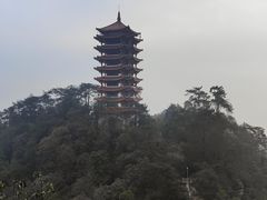 -缙云山景区