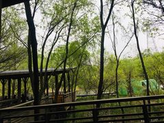 -西湖风景区-江洋畈生态公园