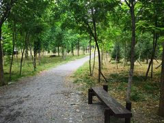 -西青郊野公园