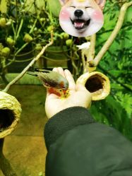 点击看大图 -Zoolung Zoolung动物主题公园(海信广场店)