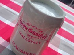 -布劳伽斯特豪夫哈尔施塔特宾馆