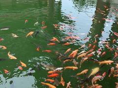 -威海华夏城景区