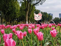 -院士公园