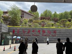 -青藏高原野生动物园
