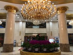 -金水鹤温泉国际酒店