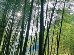 -千泷沟大瀑布旅游区