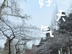 -鸡鸣寺
