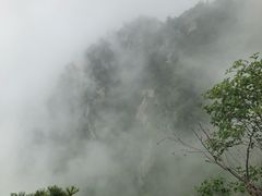 -王顺山国家森林公园