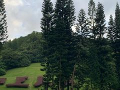 -深圳仙湖植物园