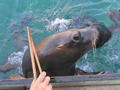 -大连老虎滩海洋公园