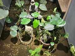 -邈墨茶馆(凤起路店)