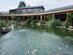 -大门水乡·顺德菜