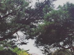 -景福宫
