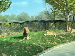 -北京野生动物园