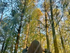 -上海海湾国家森林公园