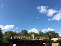 -奥兰多迪士尼动物王国乐园