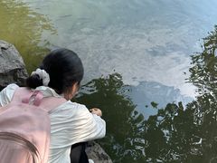 -西湖游船