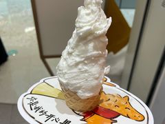 -野人先生现做冰淇淋(贵阳万象汇店)