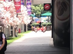 -必胜客(吾悦国际广场店)