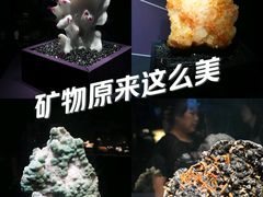 -山东博物馆