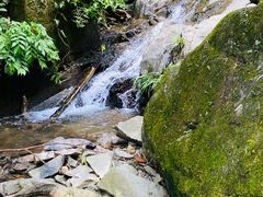 -藏龙百瀑风景区