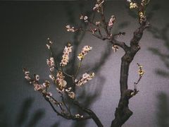 -北京明城墙遗址公园