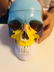 -FACE·日本小颜矫正美容整骨サロン