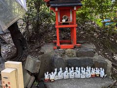 -野宫神社