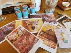 明信片-猫的天空之城概念书店(景德镇陶溪川店)