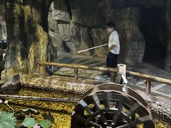 -台州海洋世界