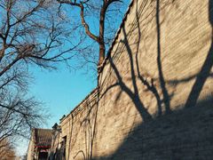 -北京师范大学附属中学