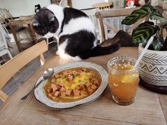 -海边的猫和咖啡馆
