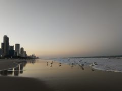 -黄金海岸