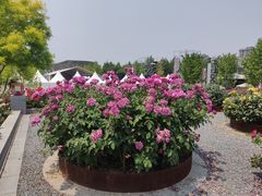 -廊坊文化艺术中心