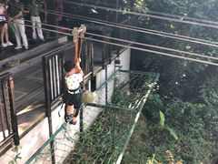 -呀诺达热带雨林